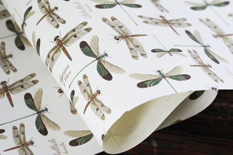Rossi Gift Wrap - Dragonflies