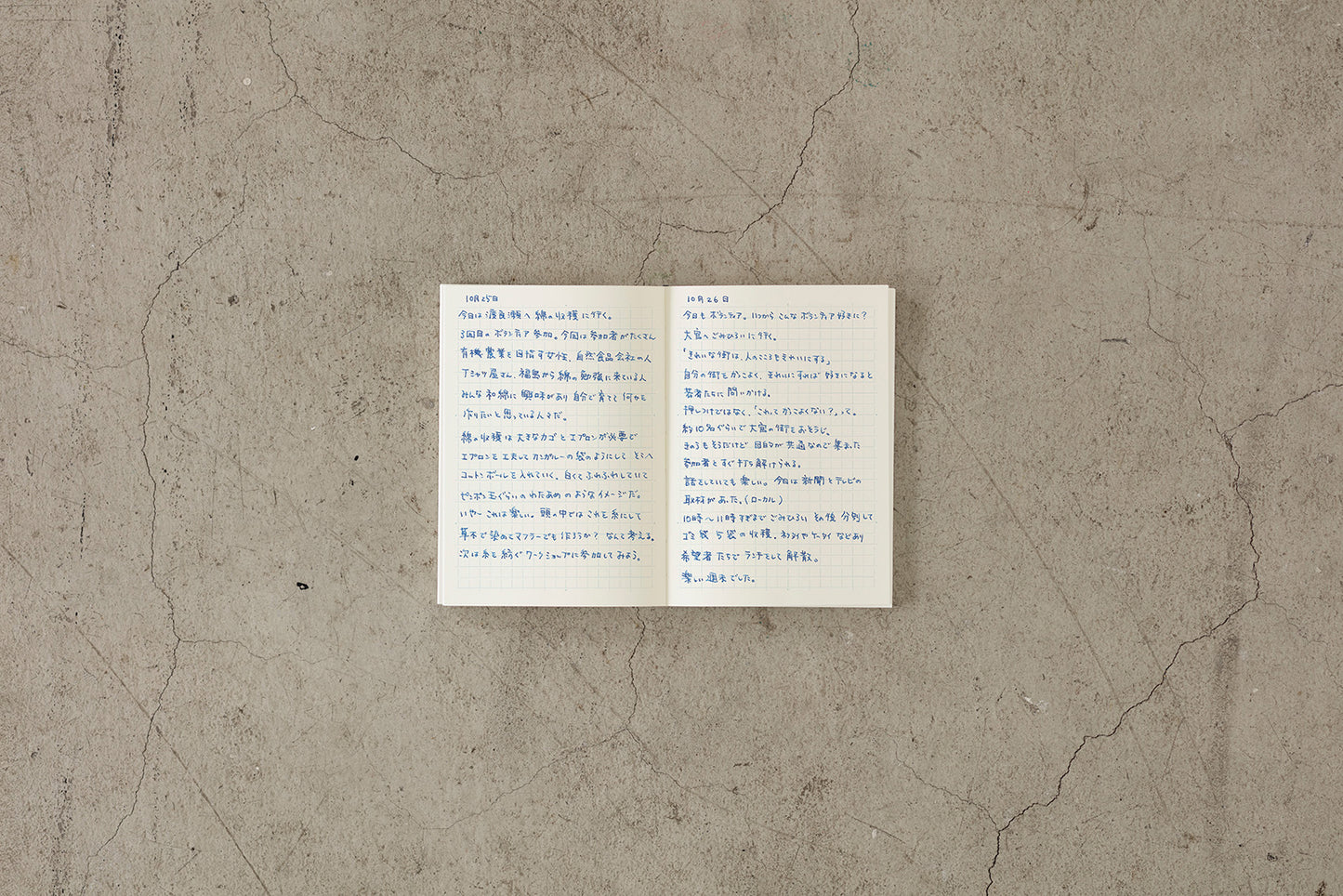 MD A5 Notebook - Grid | Flywheel | Stationery | Tasmania