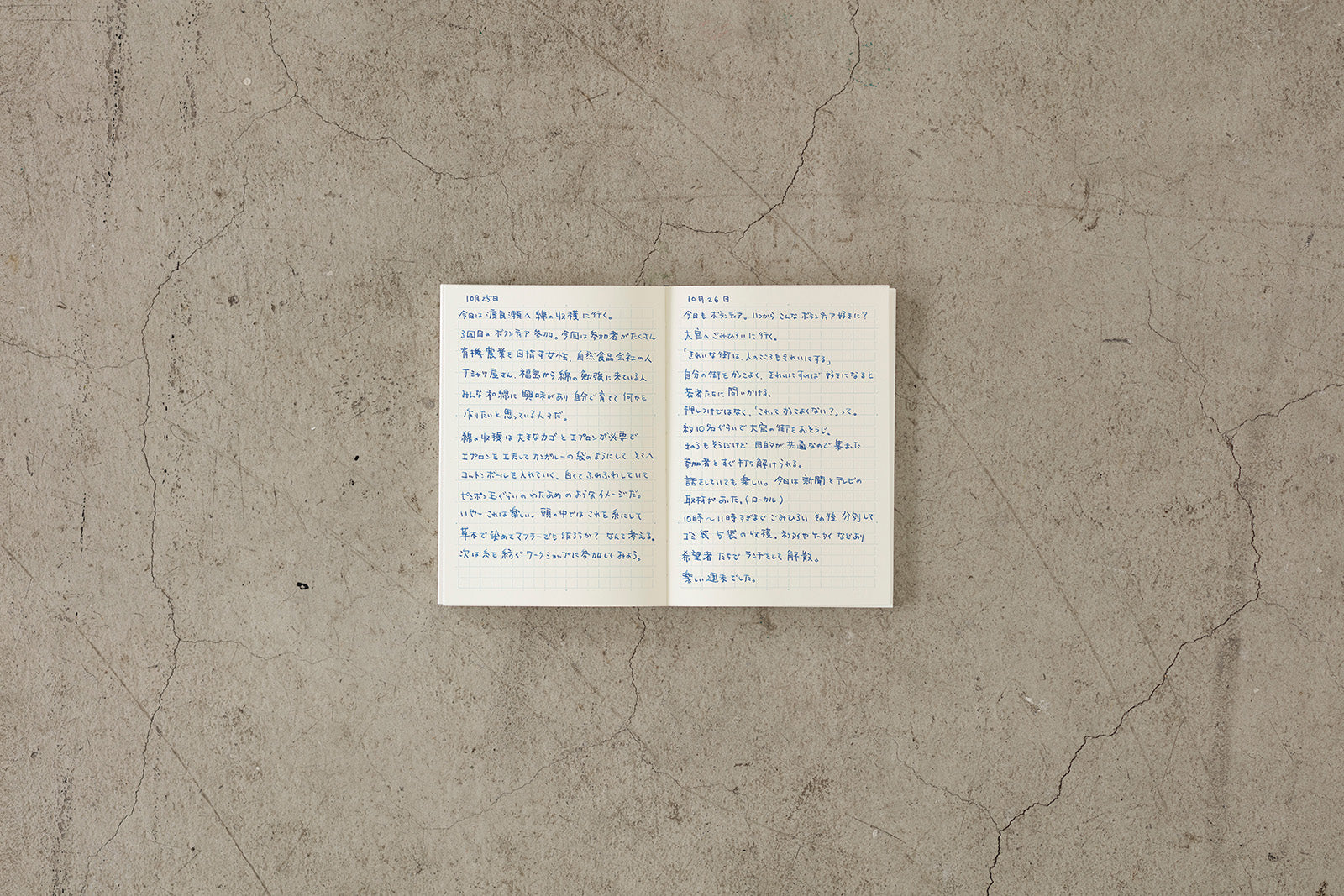 MD A5 Notebook - Grid | Flywheel | Stationery | Tasmania