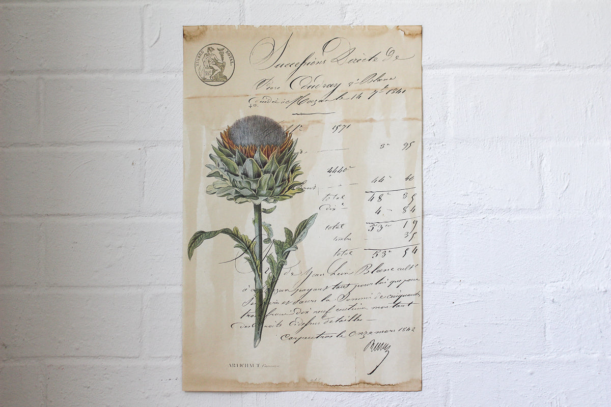 Monahan Poster - Artichoke Flower | Flywheel | Stationery | Tasmania