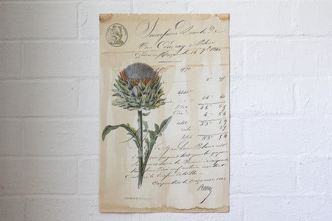 Monahan Poster - Artichoke Flower