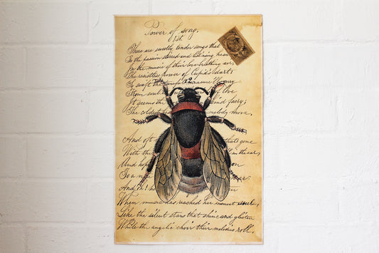 Monahan Poster - Bee | Flywheel | Stationery | Tasmania
