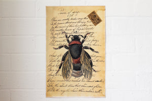 Monahan Poster - Bee