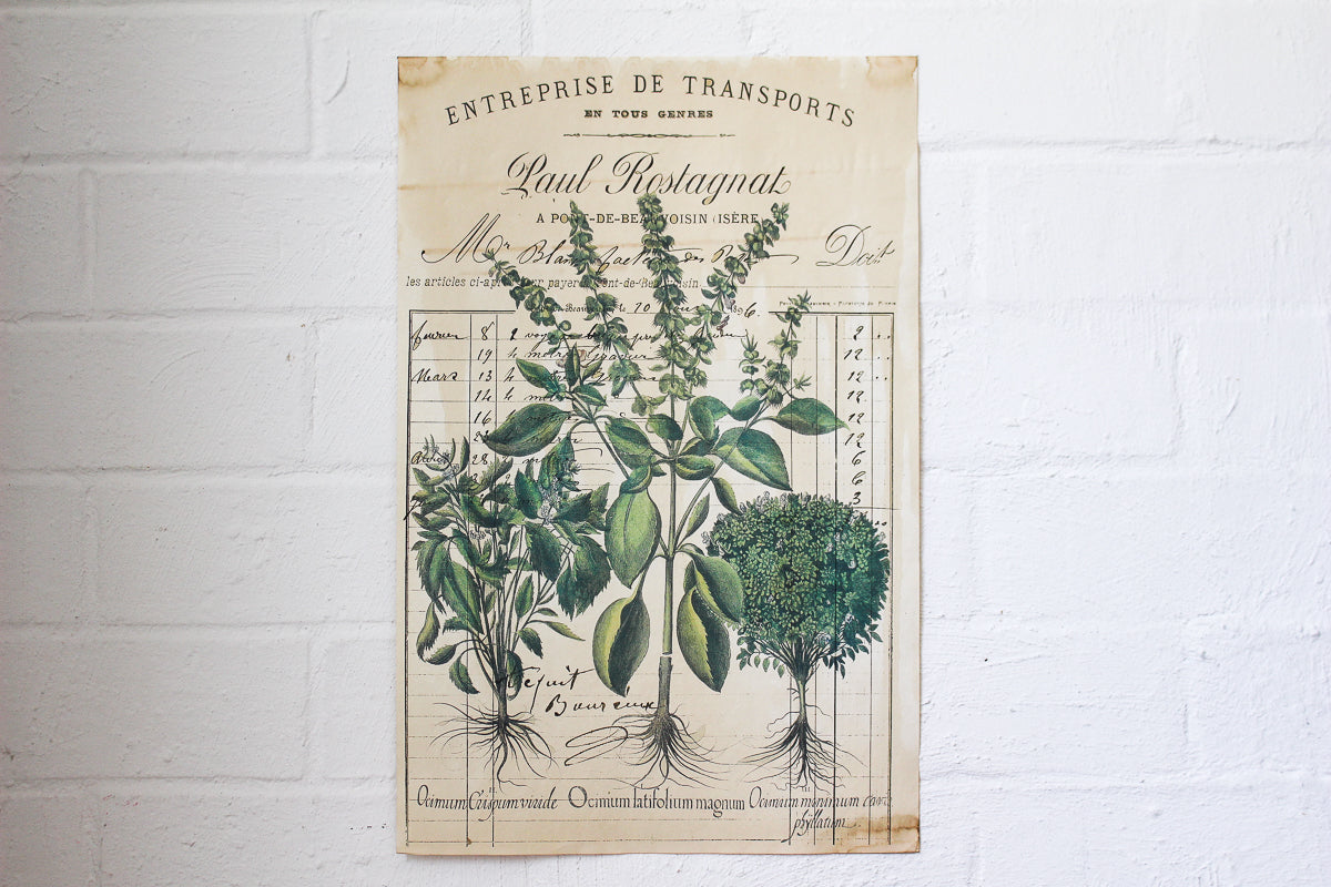 Monahan Poster - Entreprise Botanical | Flywheel | Stationery | Tasmania