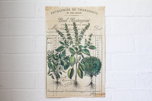 Monahan Poster - Entreprise Botanical