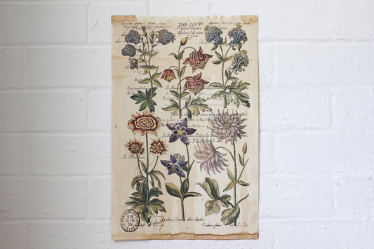 Monahan Poster - Flowers | Flywheel | Stationery | Tasmania