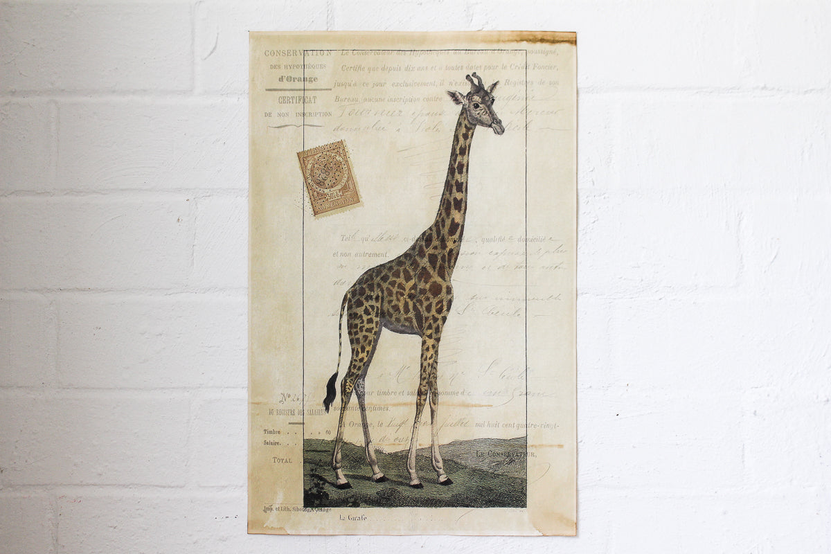 Monahan Poster - Giraffe | Flywheel | Stationery | Tasmania