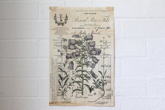 Monahan Poster - Huiles Botanical | Flywheel | Stationery | Tasmania