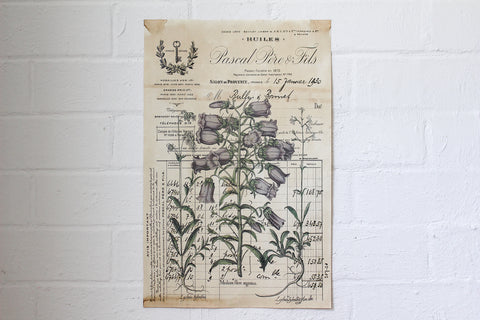 Monahan Poster - Huiles Botanical