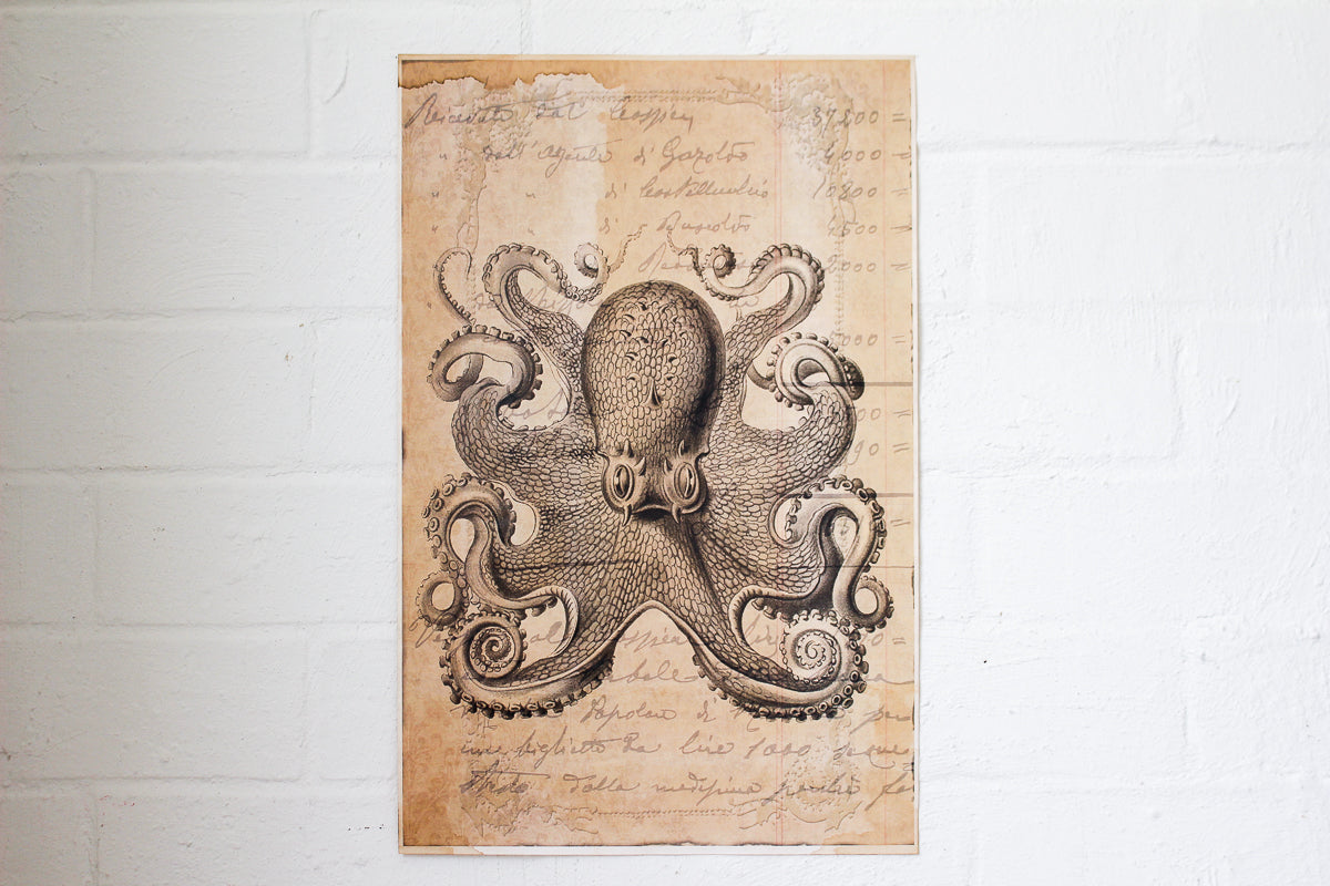 Monahan Poster - Octopus | Flywheel | Stationery | Tasmania