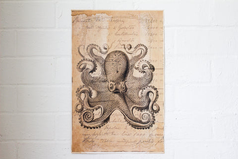 Monahan Poster - Octopus