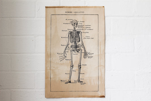 Monahan Poster - Skeleton | Flywheel | Stationery | Tasmania