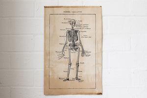 Monahan Poster - Skeleton