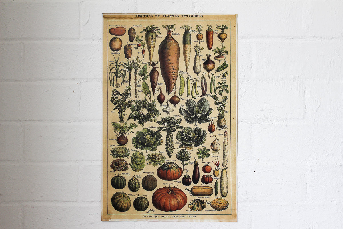 Monahan Poster - Vegetables
