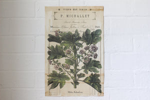 Monahan Poster - Vins En Gros Botanical | Flywheel | Stationery | Tasmania