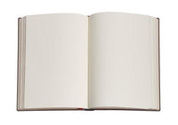 Paperblanks Midi Hardcover Journal - Persimmon