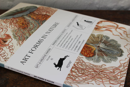 Pepin Press Gift & Creative Papers Book - Art Forms In Nature | Flywheel | Stationery | Tasmania