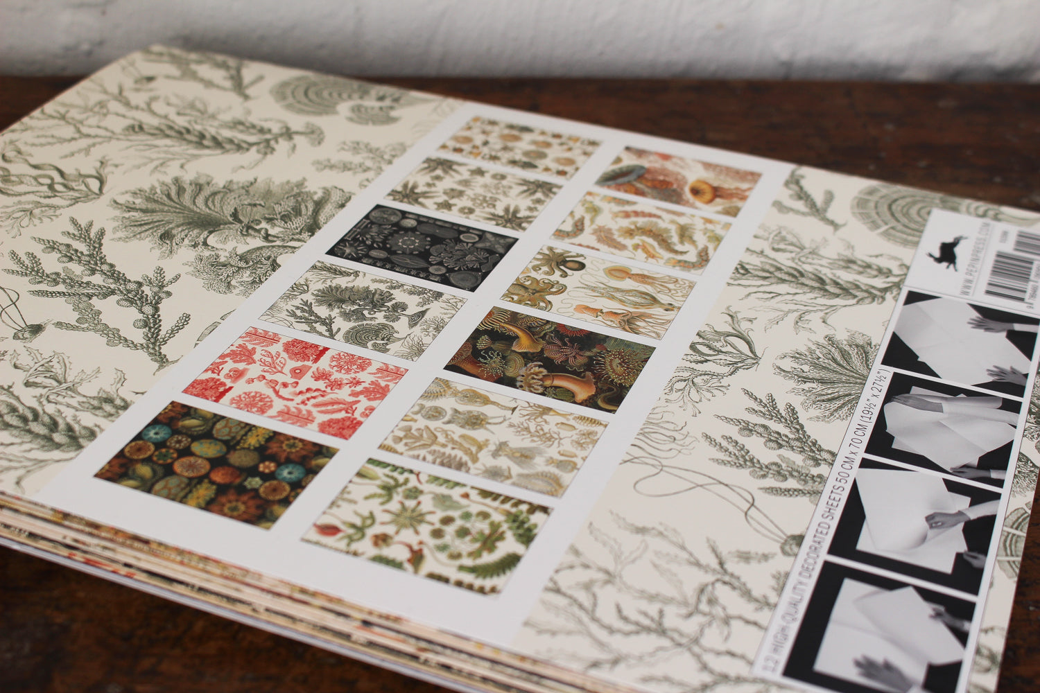 Pepin Press Gift & Creative Papers Book - Art Forms In Nature | Flywheel | Stationery | Tasmania