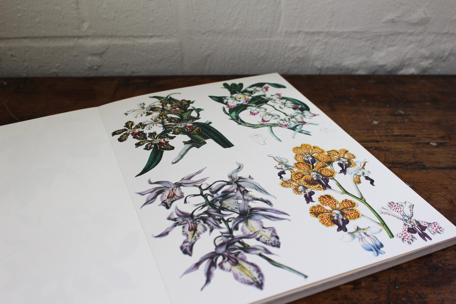 Pepin Press Paper Craft Book - Flowers | Flywheel | Stationery | Tasmania
