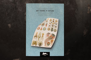 Pepin Press Label & Sticker Book - Art Forms In Nature