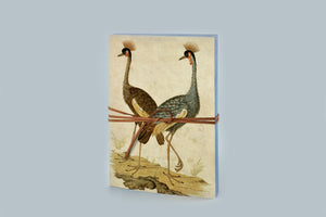 Slow Design Canvas Notebook - Birds