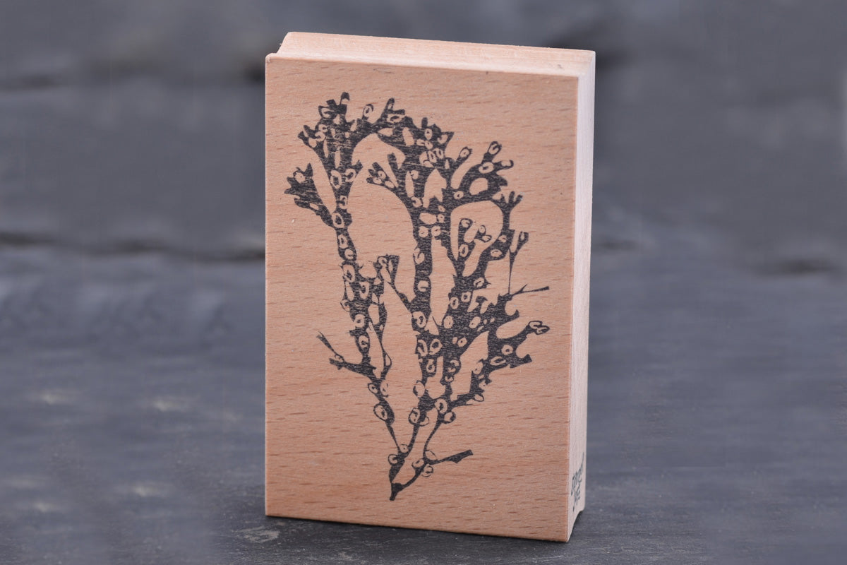 Stempel Jazz Rubber Stamp - Coral