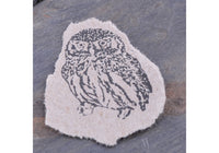 Stempel Jazz Rubber Stamp - Owl | Flywheel | Stationery | Tasmania