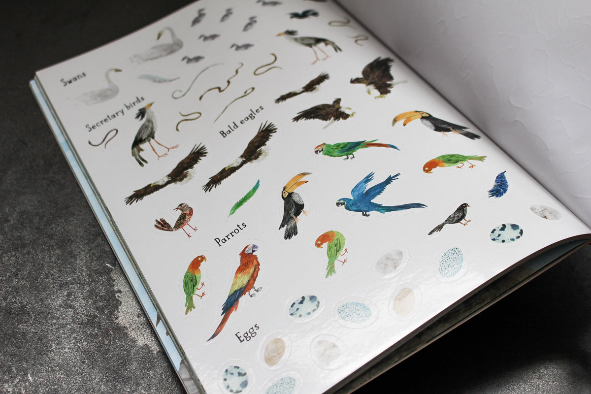 The Big Sticker Book of Birds | Flywheel | Stationery | Tasmania